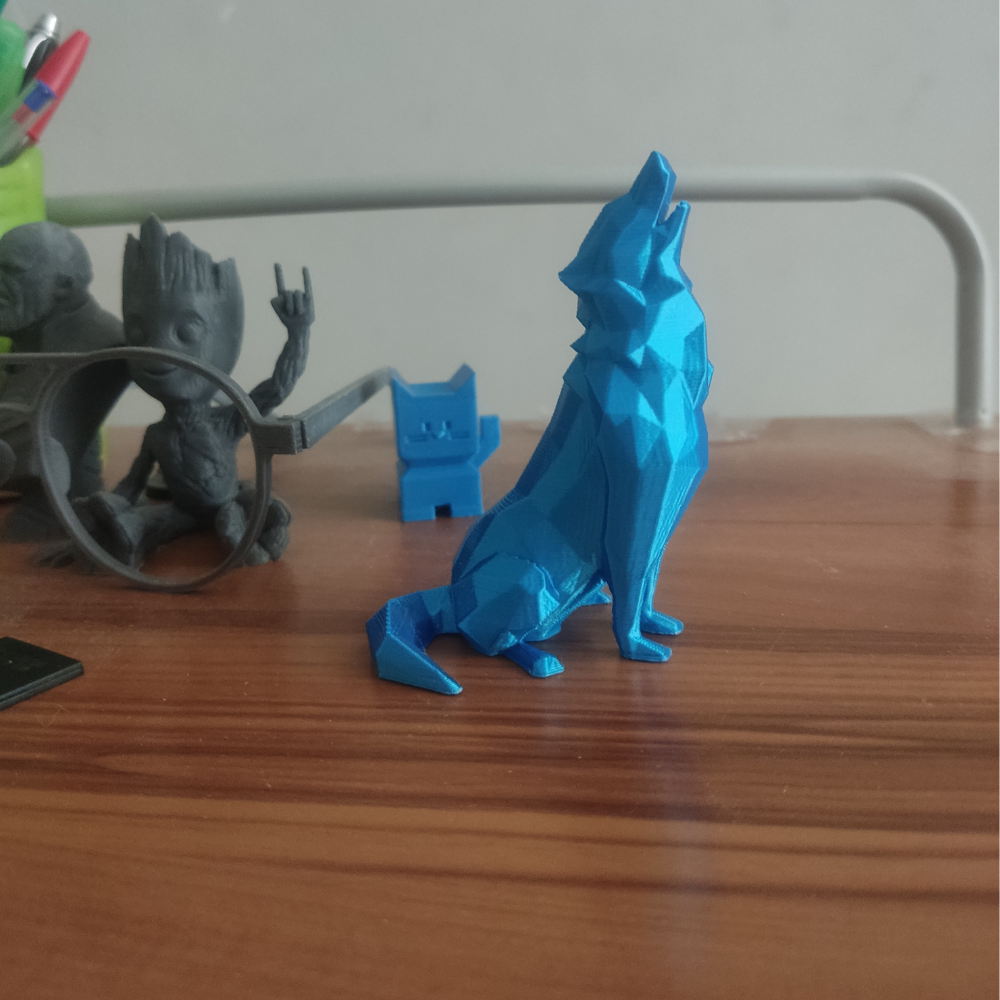 a wolf